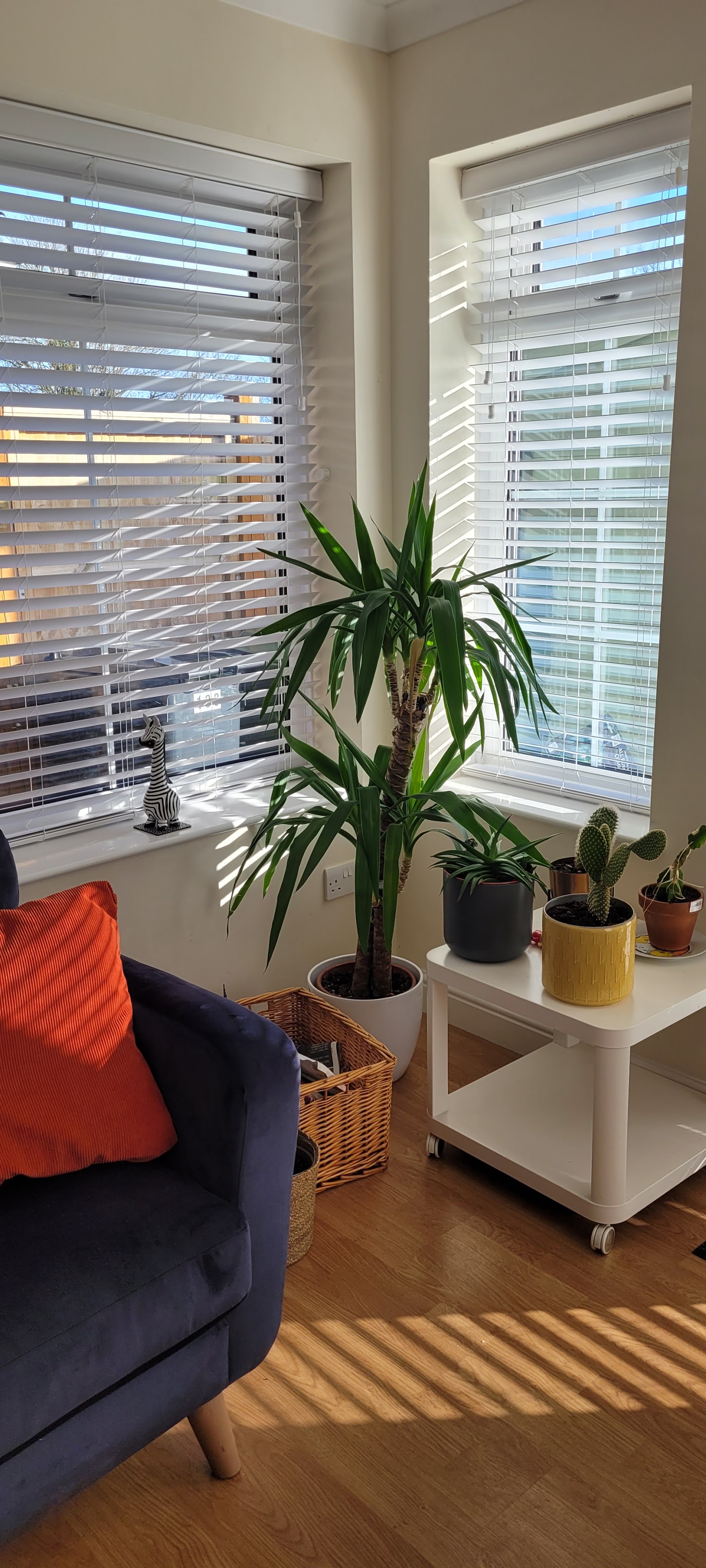 A & A Blinds — photo from Google