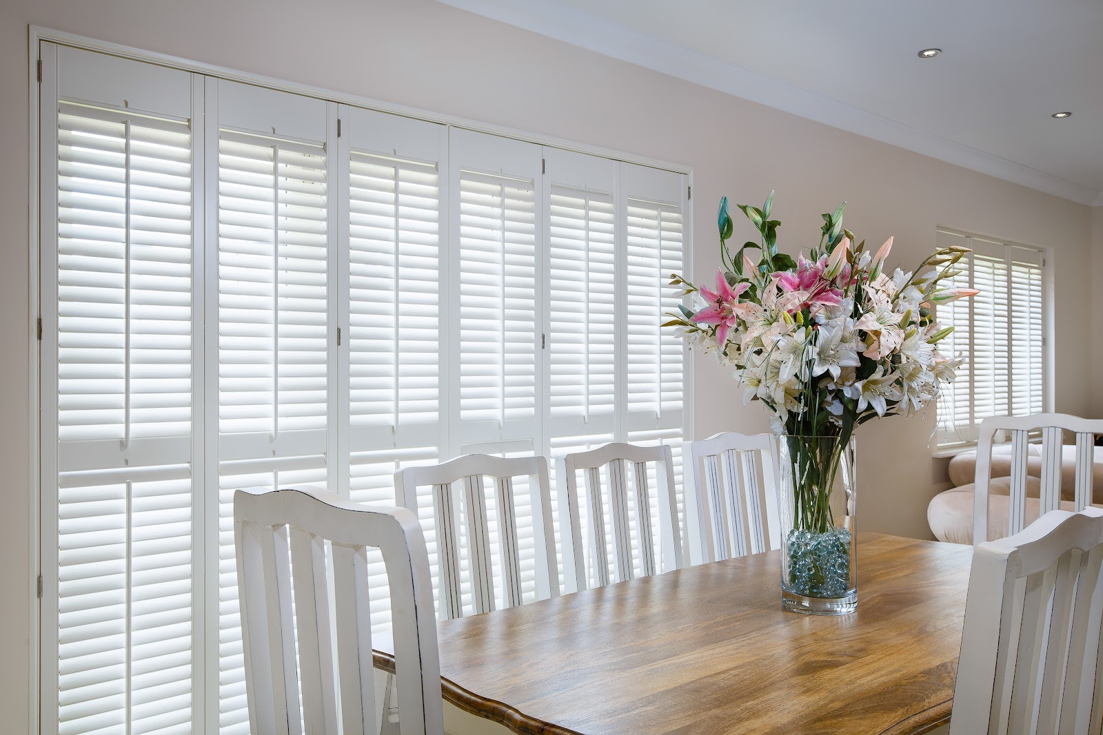Shutter Envy — photo from Google
