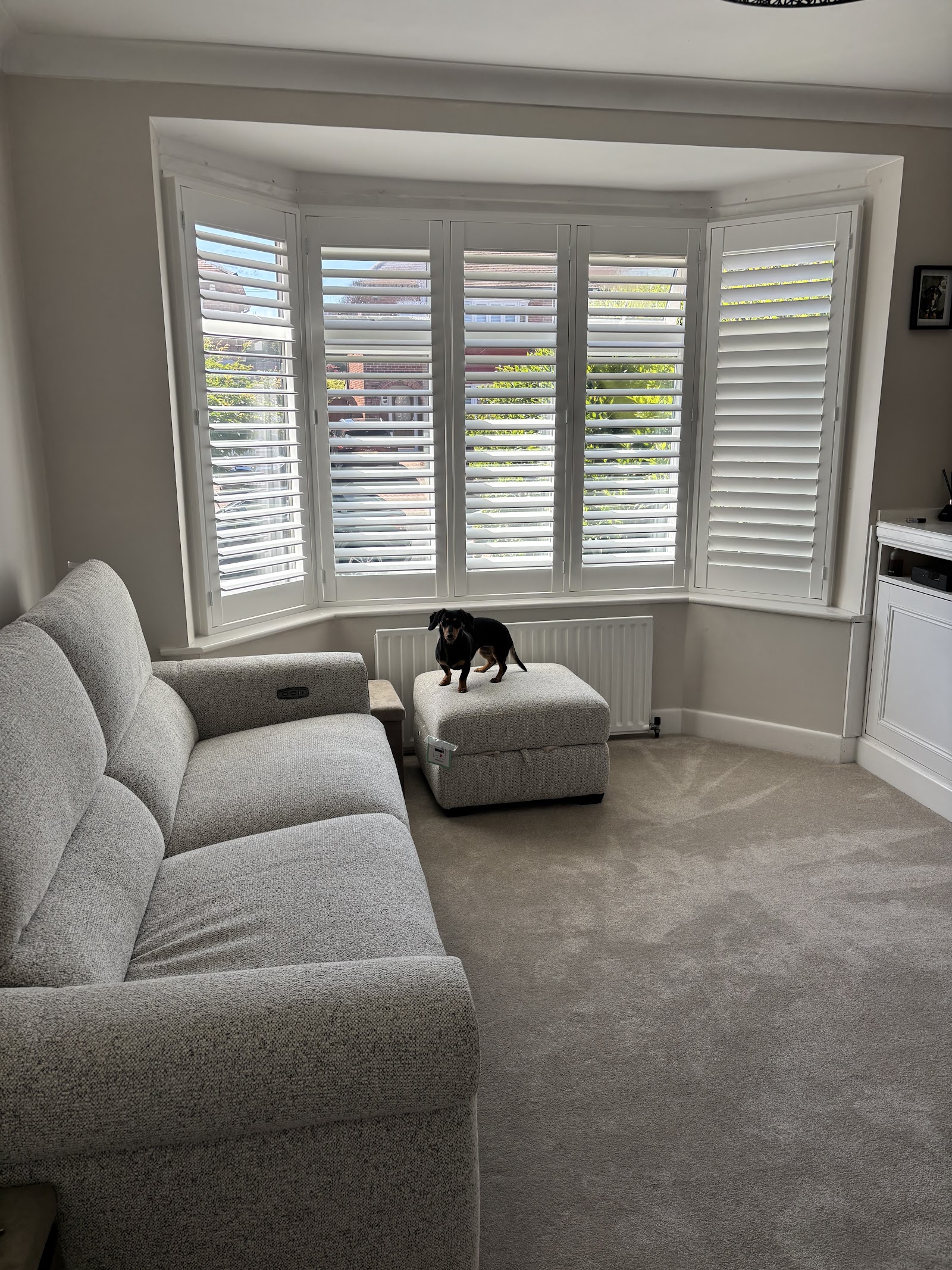 Shutter King — photo from Google