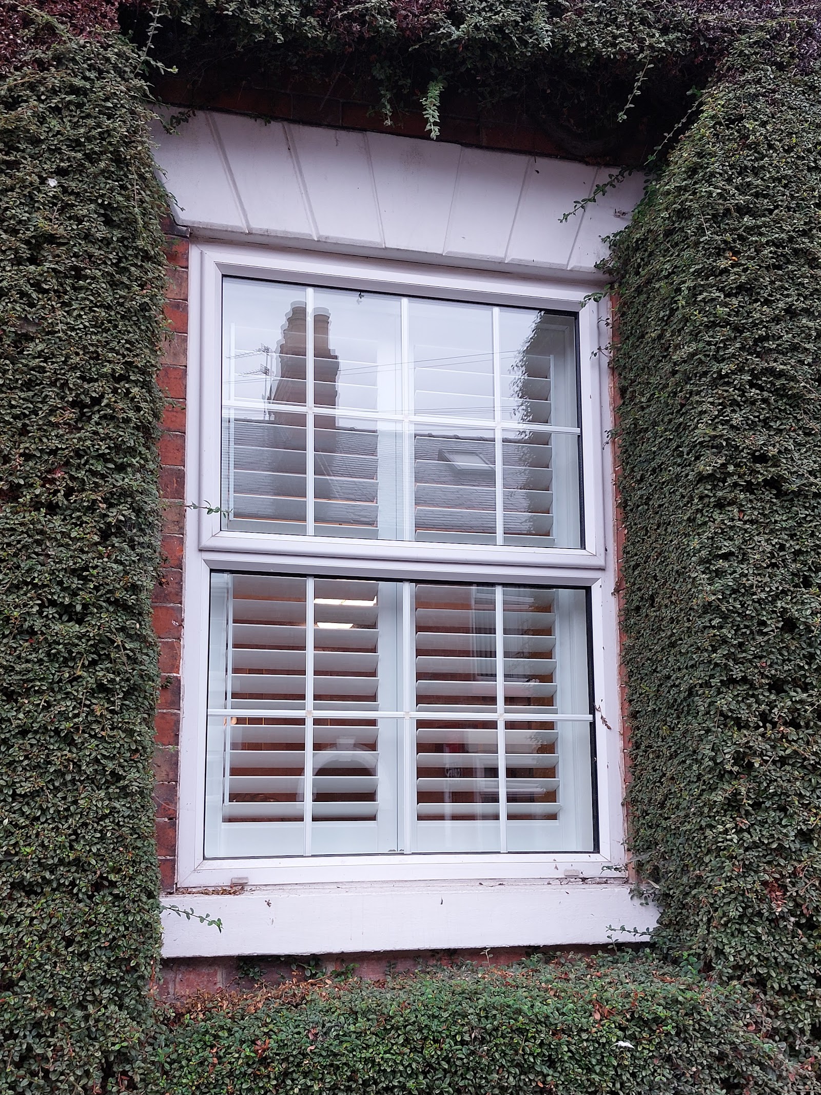 The Plantation Shutter People — photo from Google